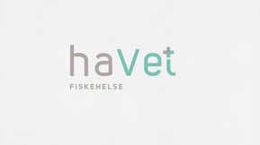 Havet_logo1
