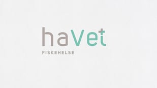 Havet_logo1