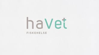 Havet_logo1