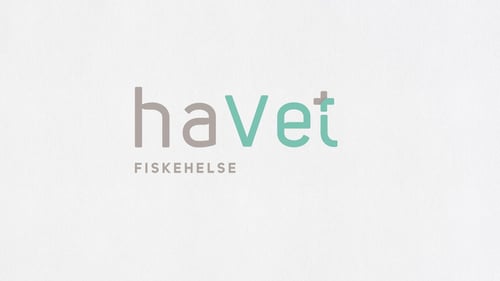 Havet_logo1