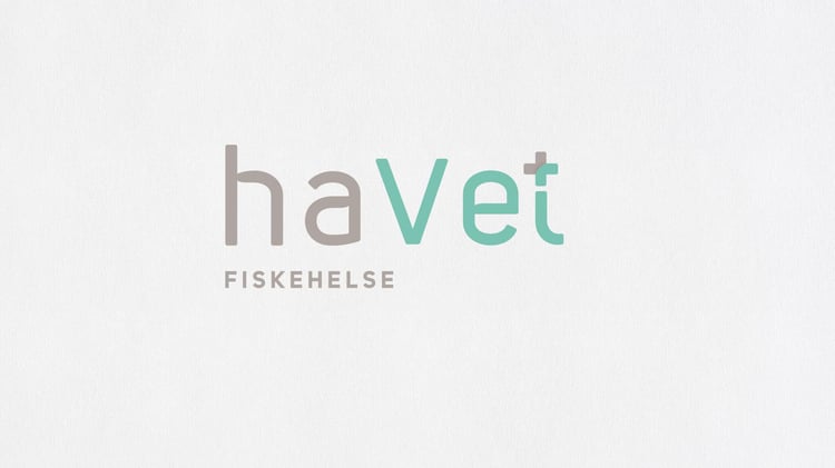 Havet_logo1