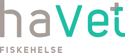 Havet_logo_farger