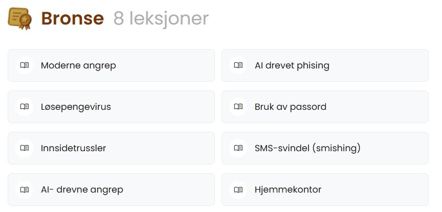 IT-sikkerhet kurs Bronse