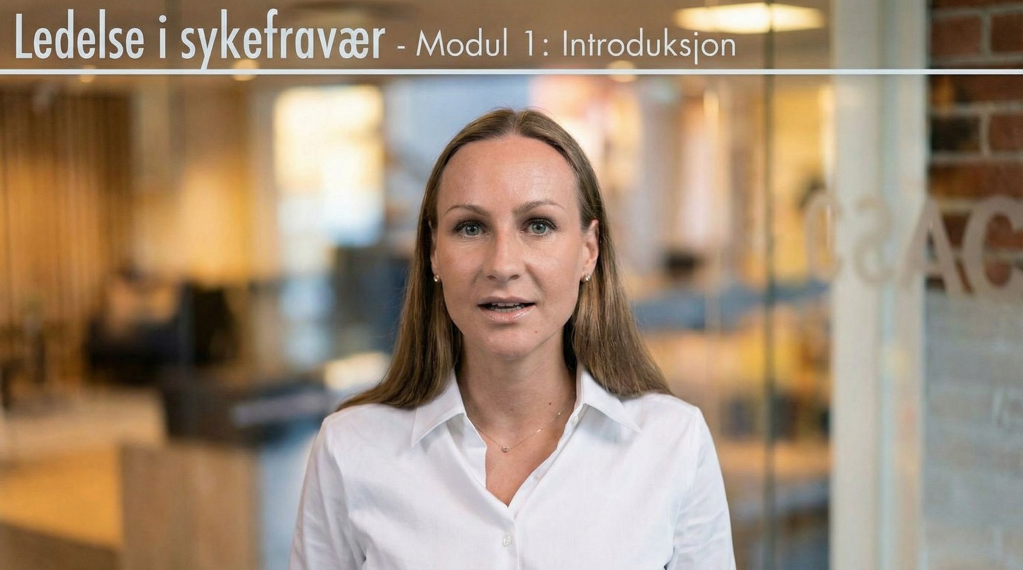 Ledelse i sykefravær nano2