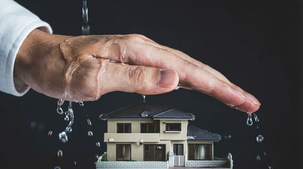 Moisture Mechanics and Moisture Control